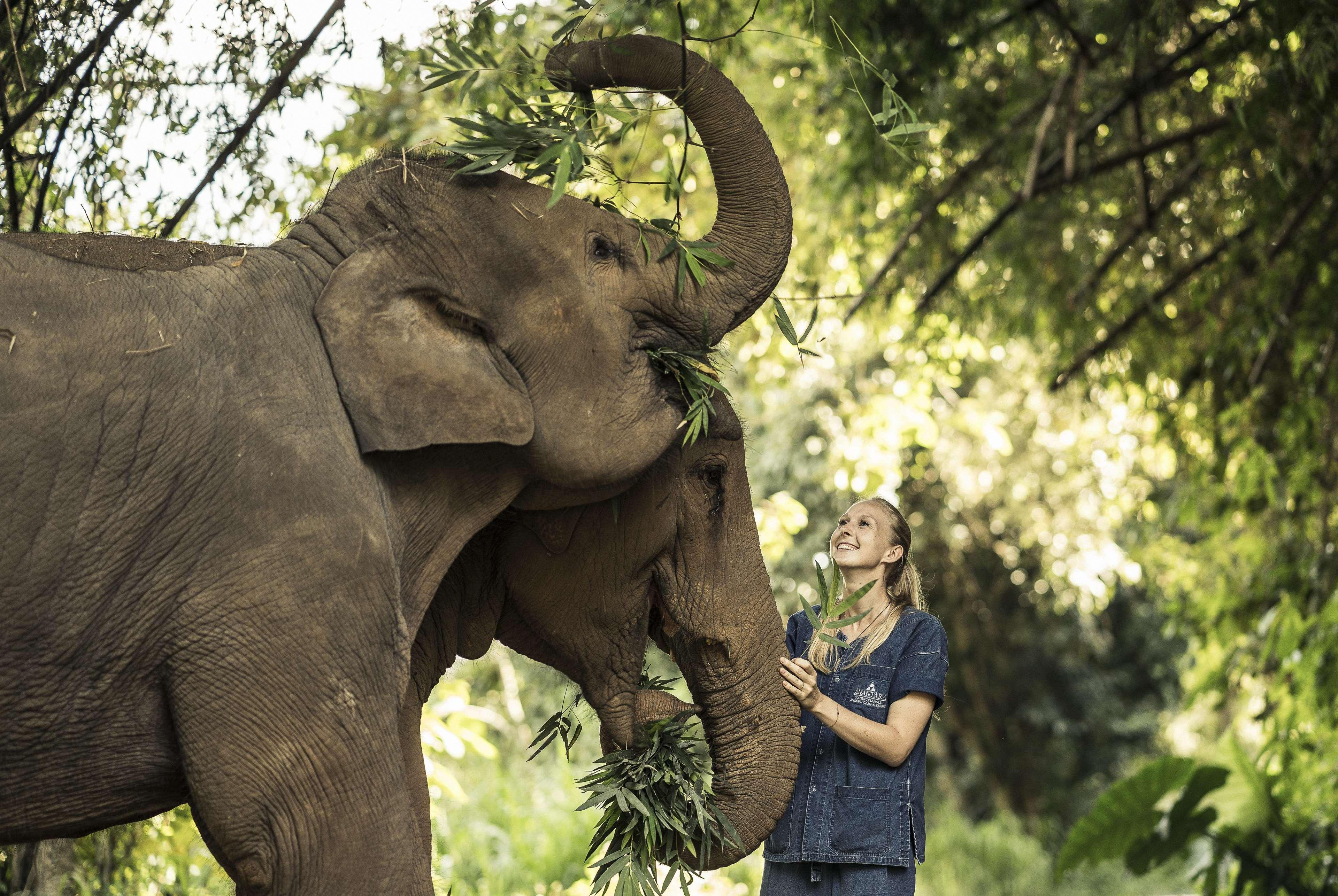 Anantara Golden Triangle Elephant Camp & Resort Chiang Rai Exterior foto