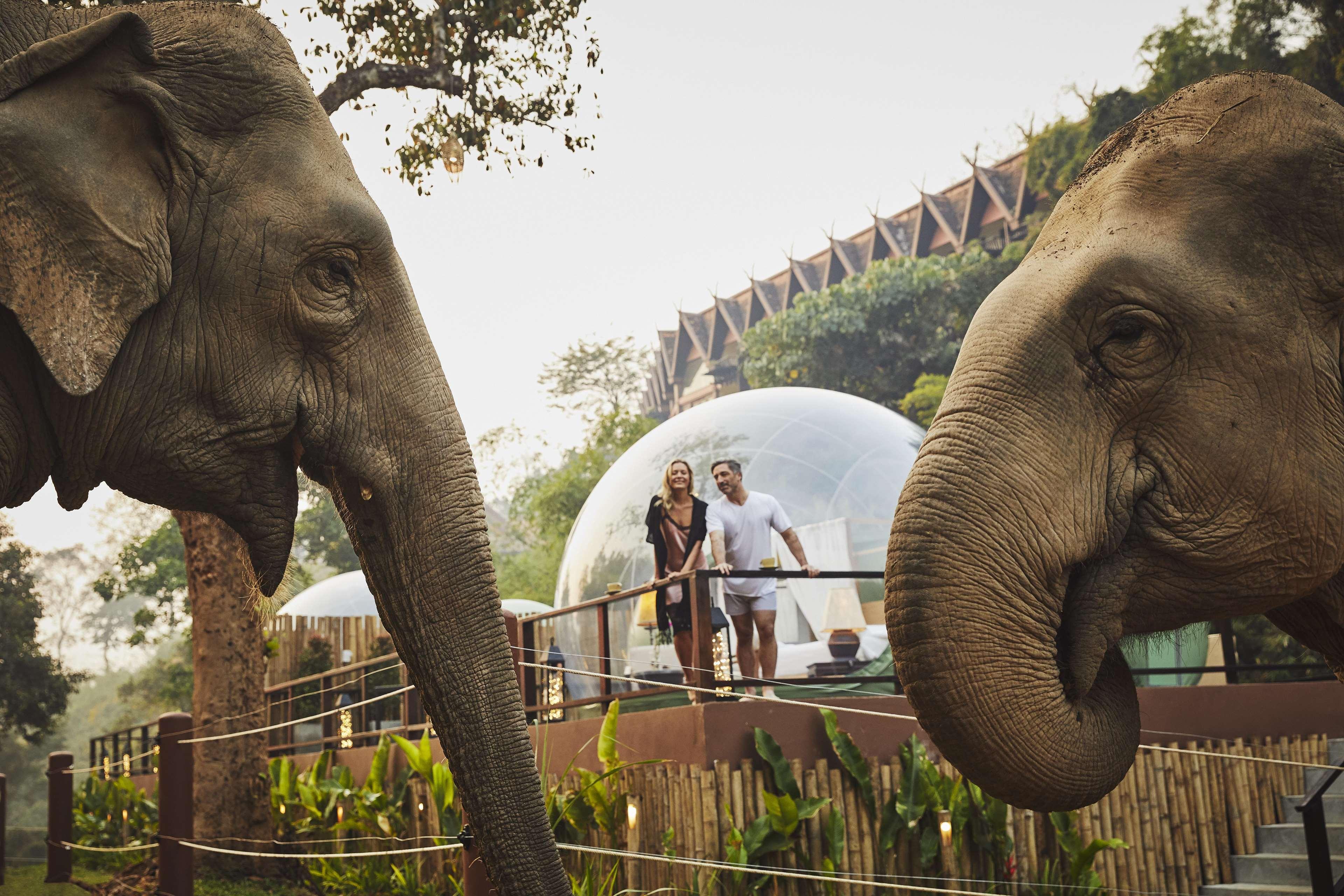 Anantara Golden Triangle Elephant Camp & Resort Chiang Rai Exterior foto