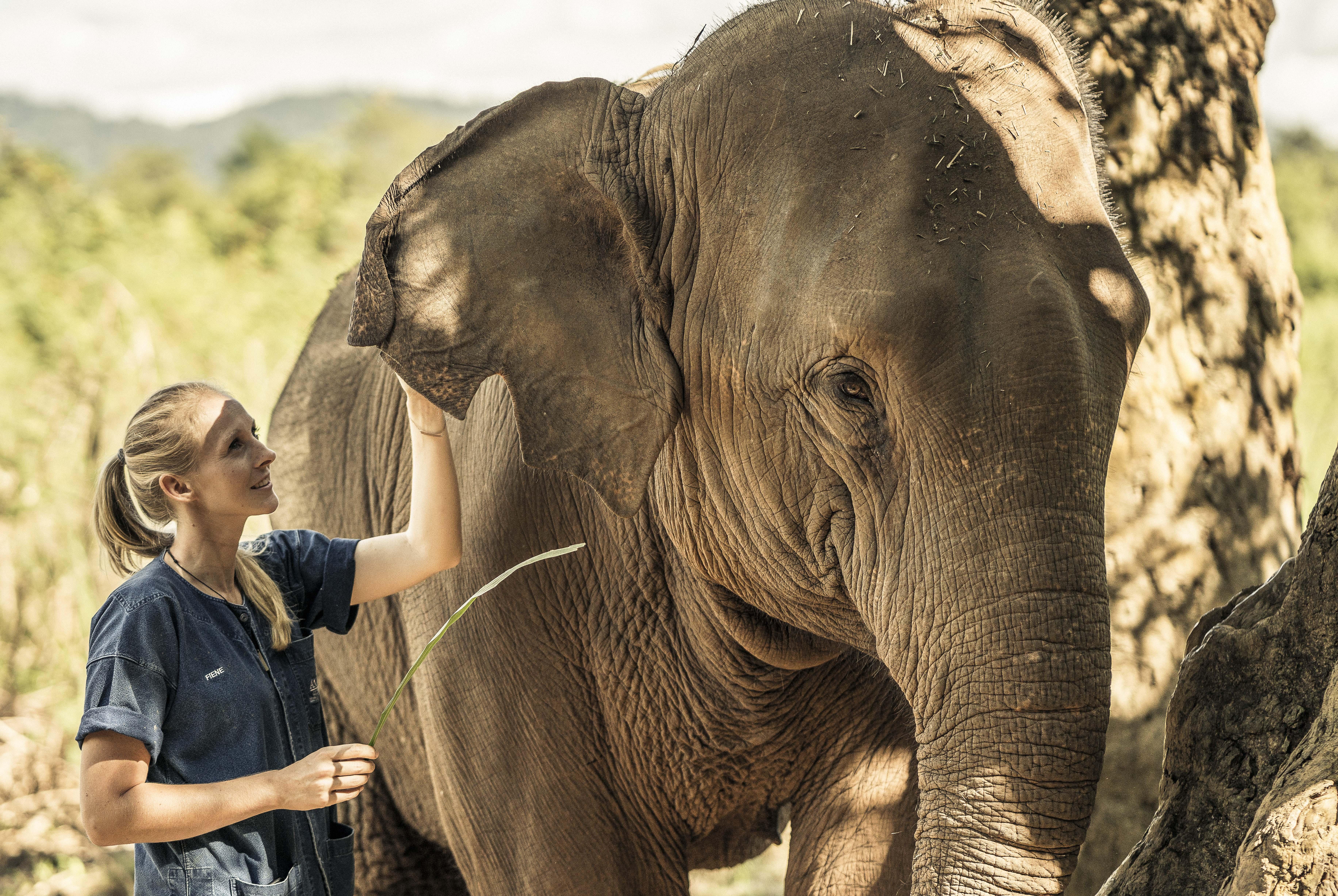 Anantara Golden Triangle Elephant Camp & Resort Chiang Rai Exterior foto