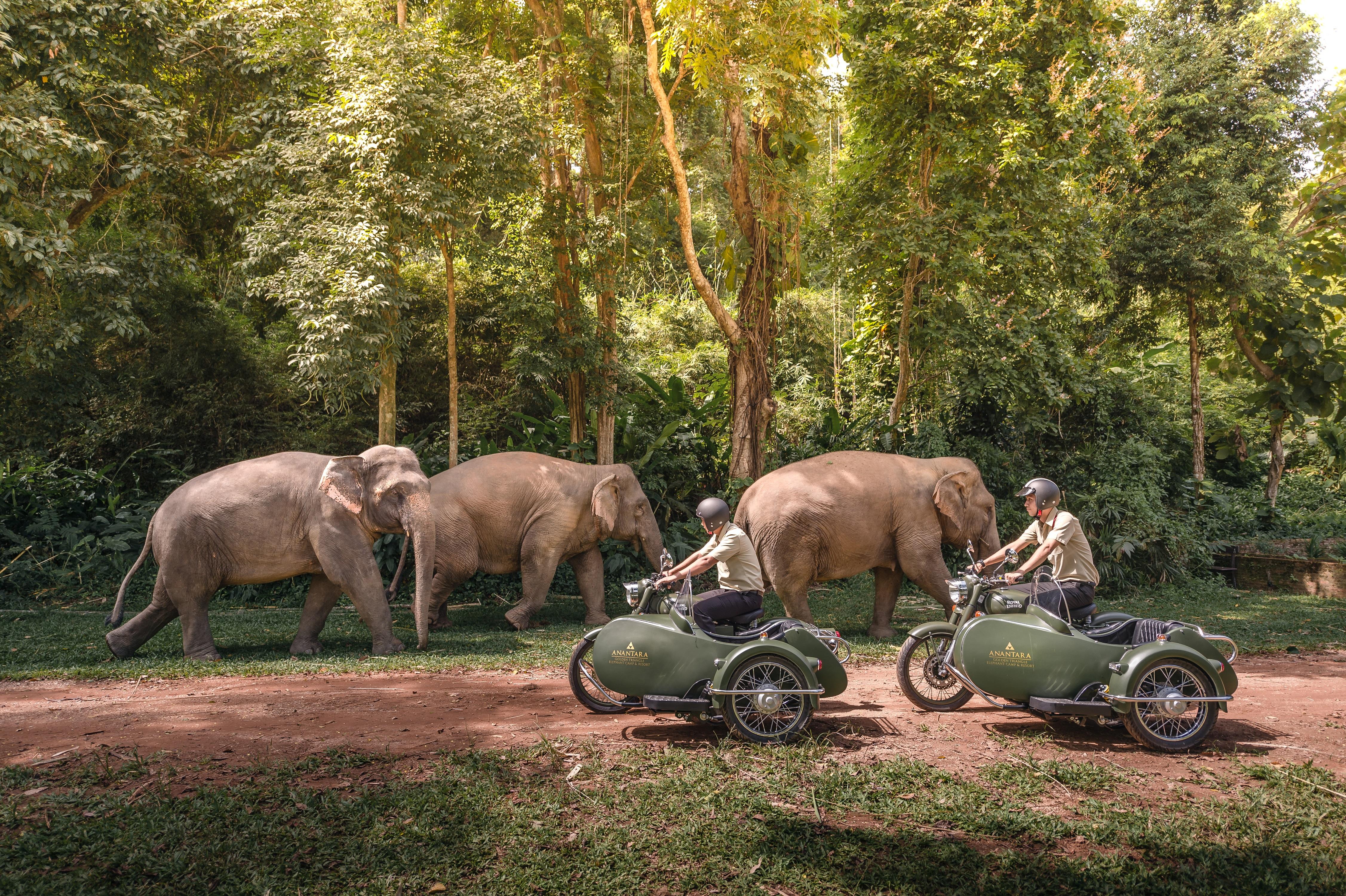 Anantara Golden Triangle Elephant Camp & Resort Chiang Rai Exterior foto