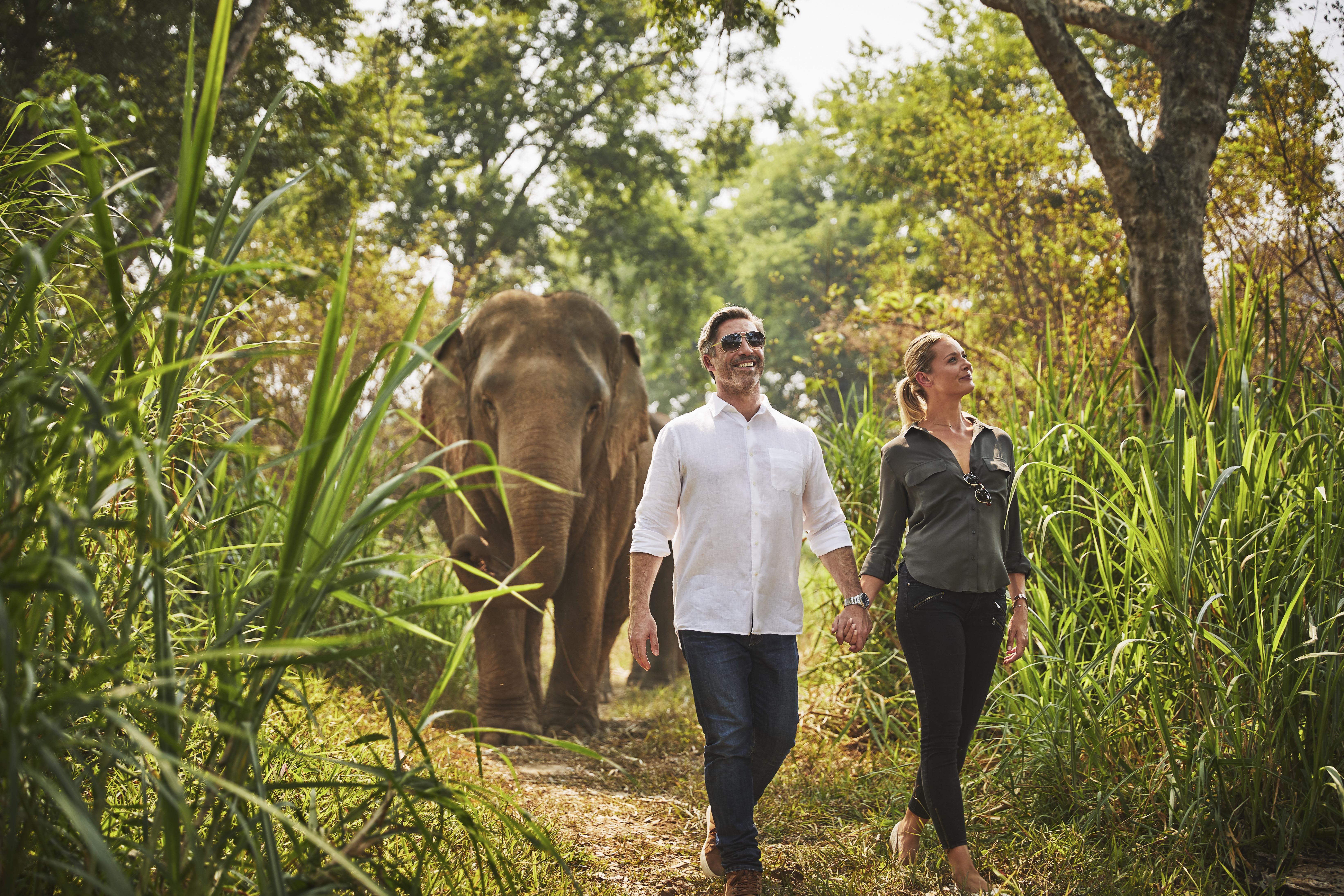 Anantara Golden Triangle Elephant Camp & Resort Chiang Rai Exterior foto